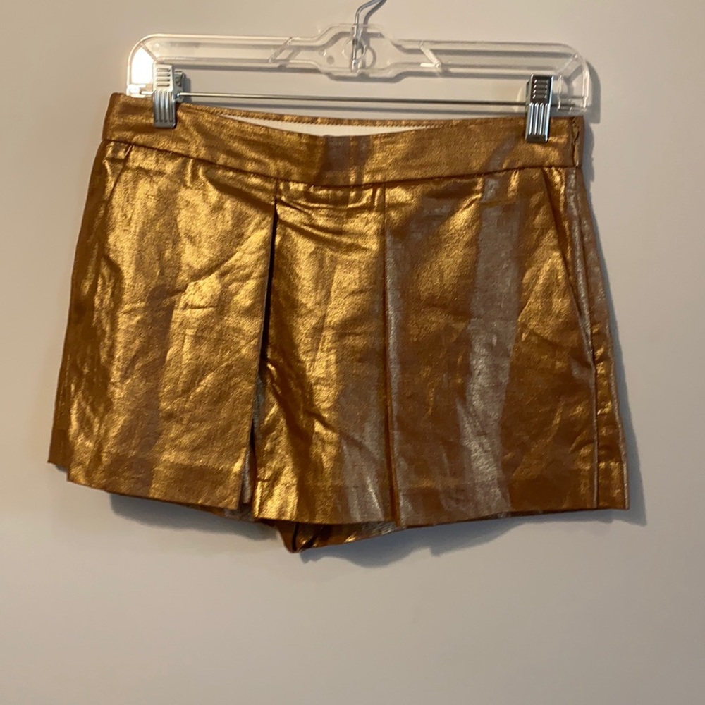 Beautiful Metallic Skort